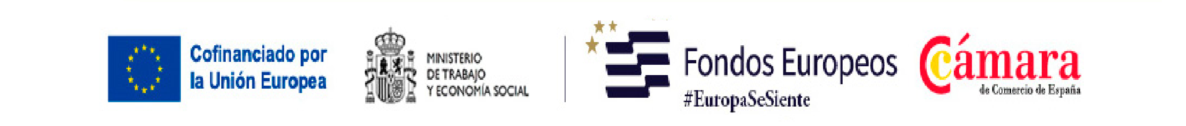 Banner Cofinanciado por la Unión Europea