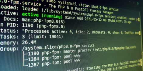 Terminal de Linux